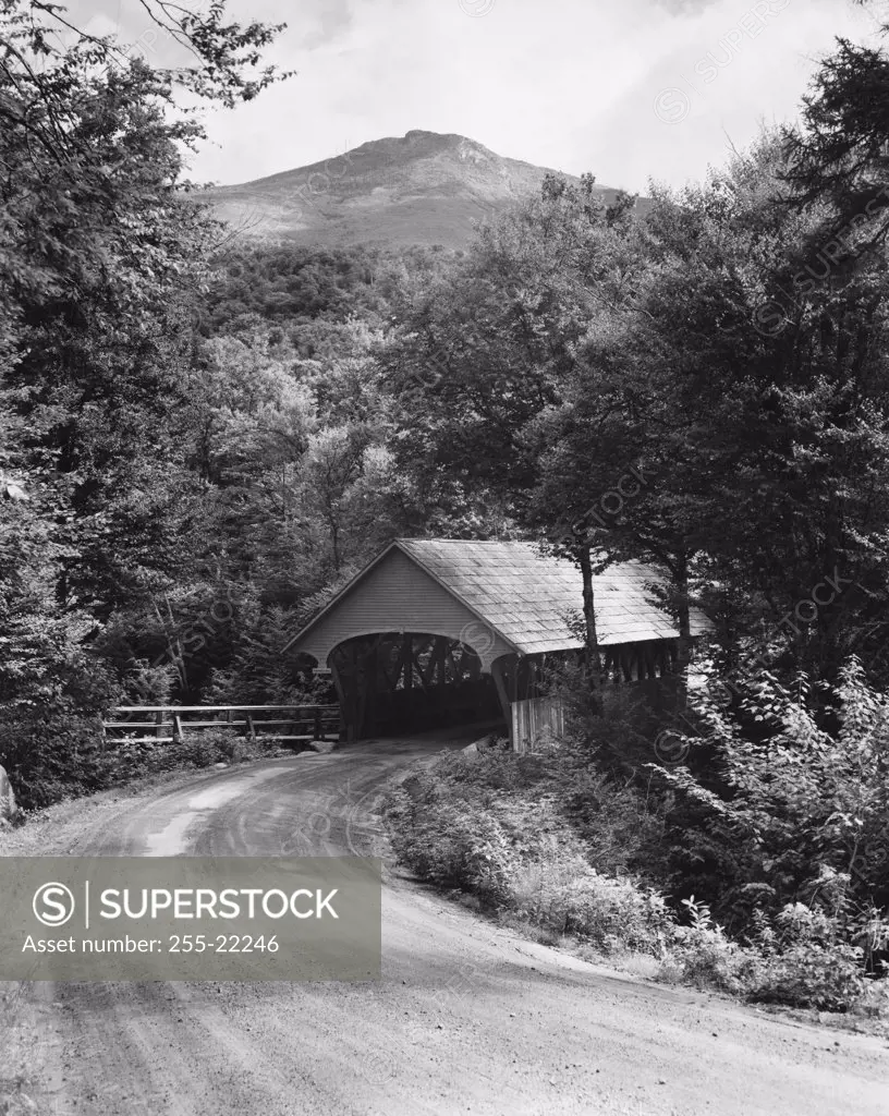Covered bridge in a forest, Flume Bridge, Franconia Notch State Park, New Hampshire, USA