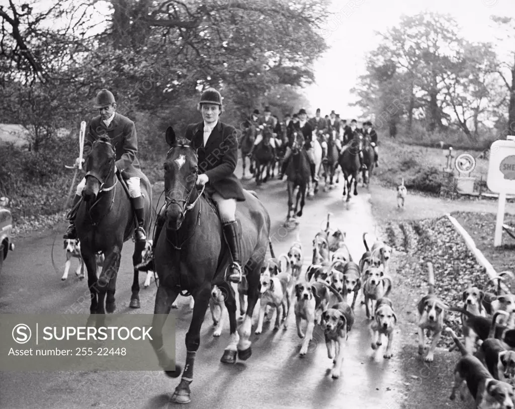 Group of people riding on horses with dogs and going for fox hunting, Somerset, England