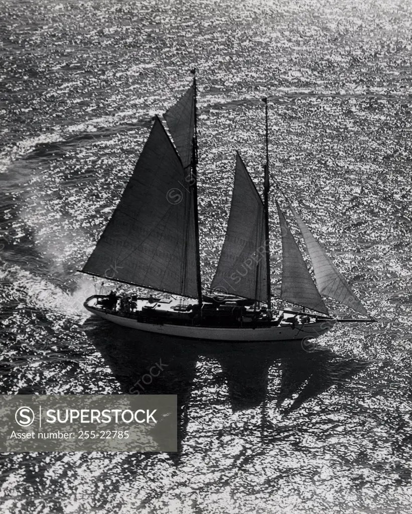 High angle view of a sailboat in the sea