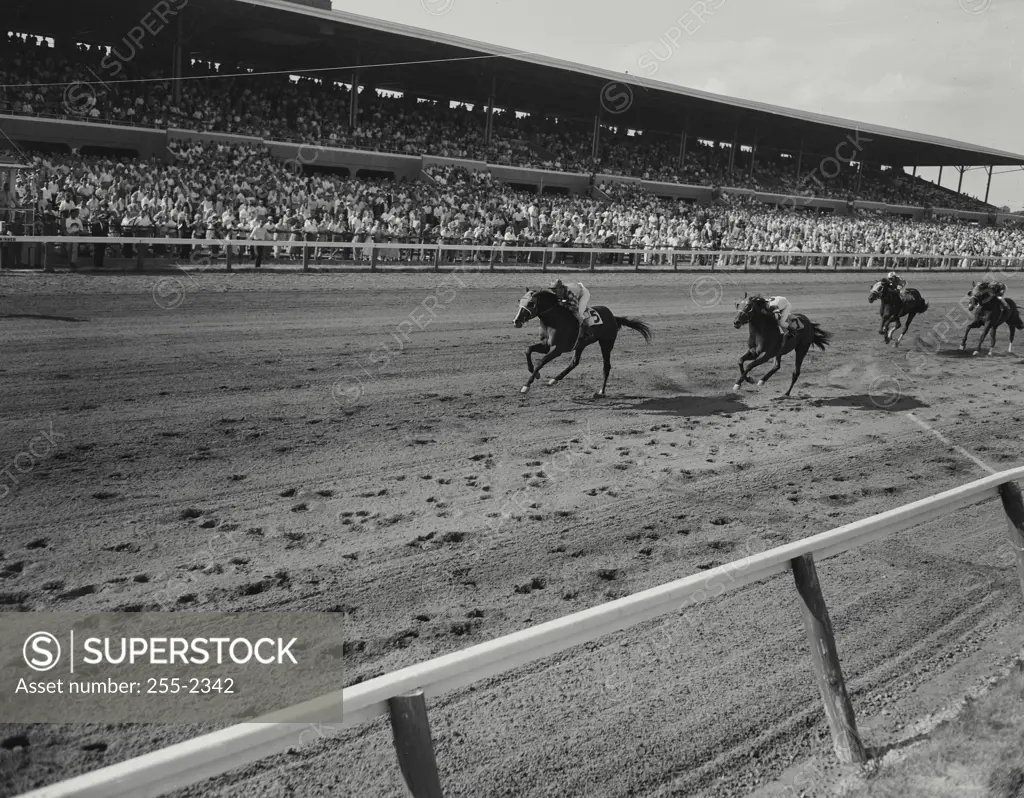 Vintage Photograph. Horse Racing at Delaware Park. Frame 5