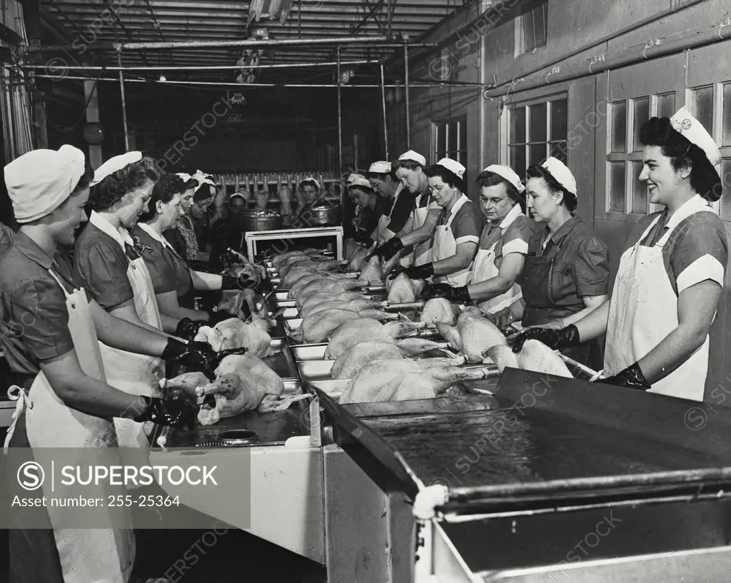 Vintage photograph. Group of female workers processing turkeys for frozen food