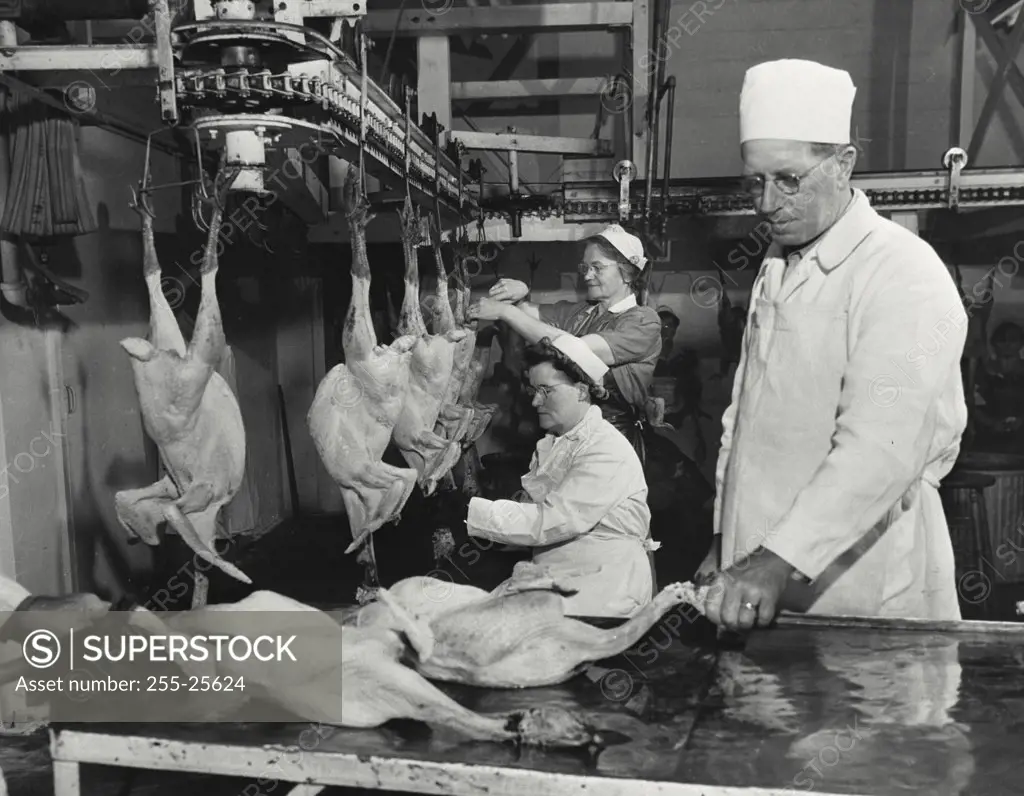 Vintage photograph. Three workers working in a turkey processing plant, Frozen Food Plant, Hillsboro, Oregon, USA