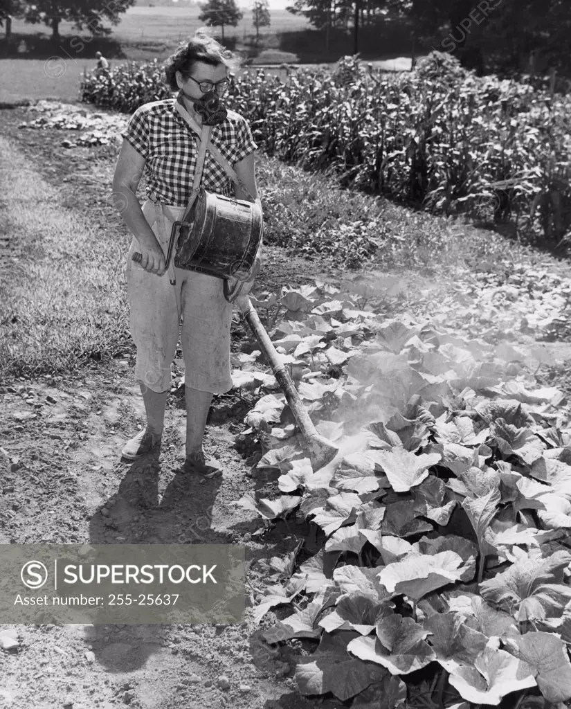 Young woman dusting insecticide on cucumber plants in a garden