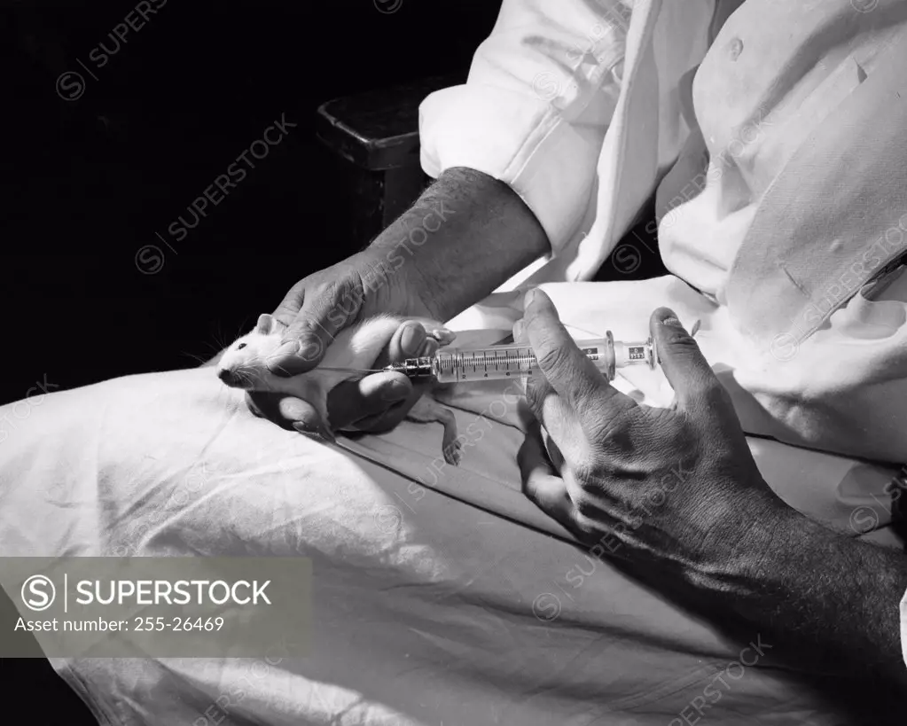 Close-up of a scientist injecting a mouse