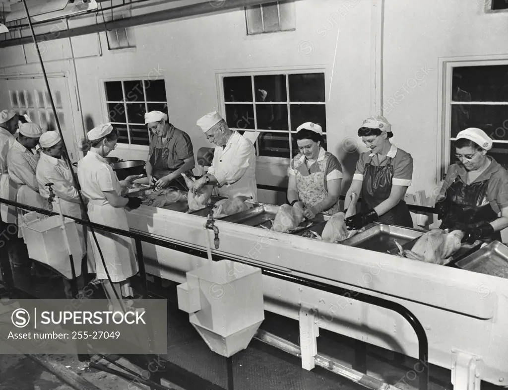 Vintage photograph. High angle view of workers processing turkey in a frozen food plant