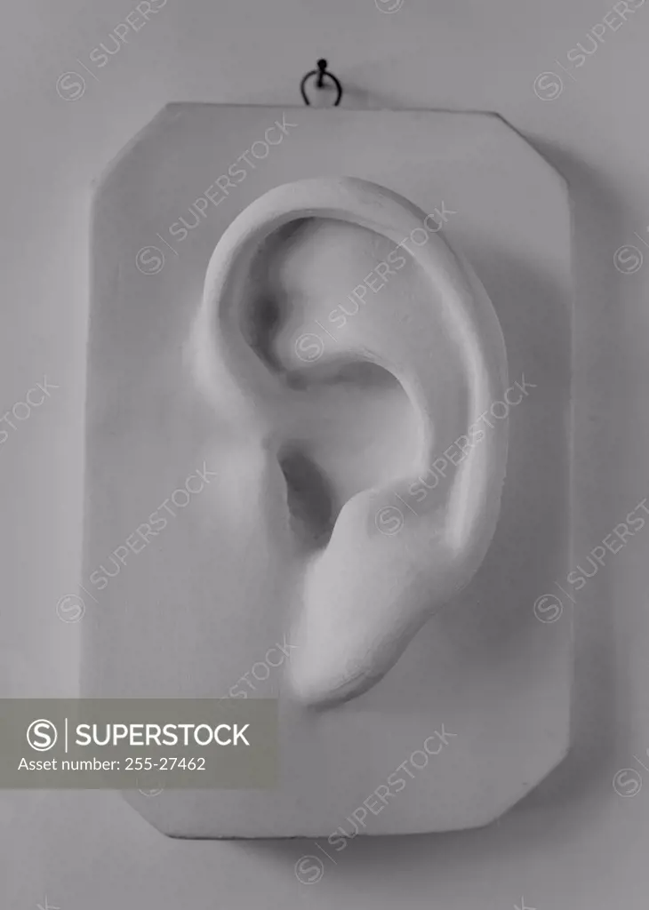 Sculpture in shape of ear