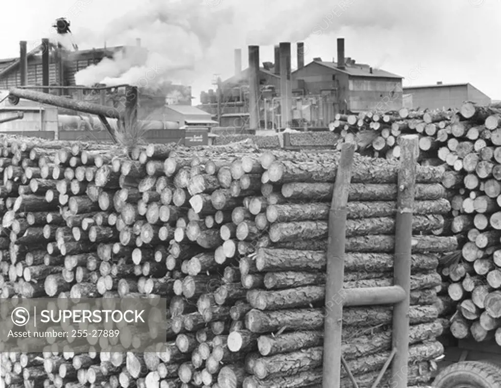 Wooden logs loaded in trucks near a paper mill