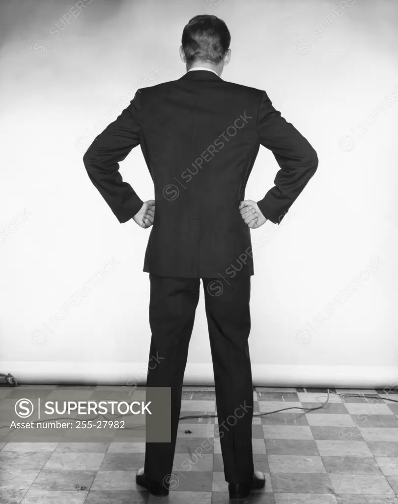 Rear view of a businessman standing with his arms akimbo