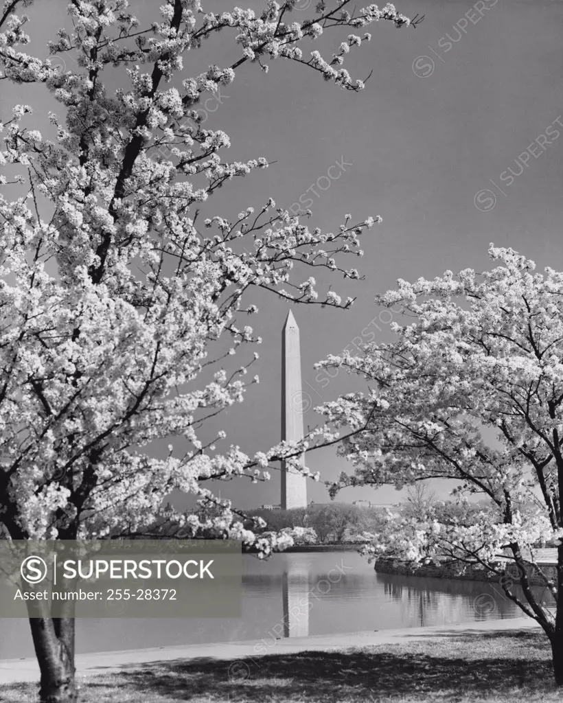 Reflection of an obelisk in water, Washington Monument, Washington DC, USA