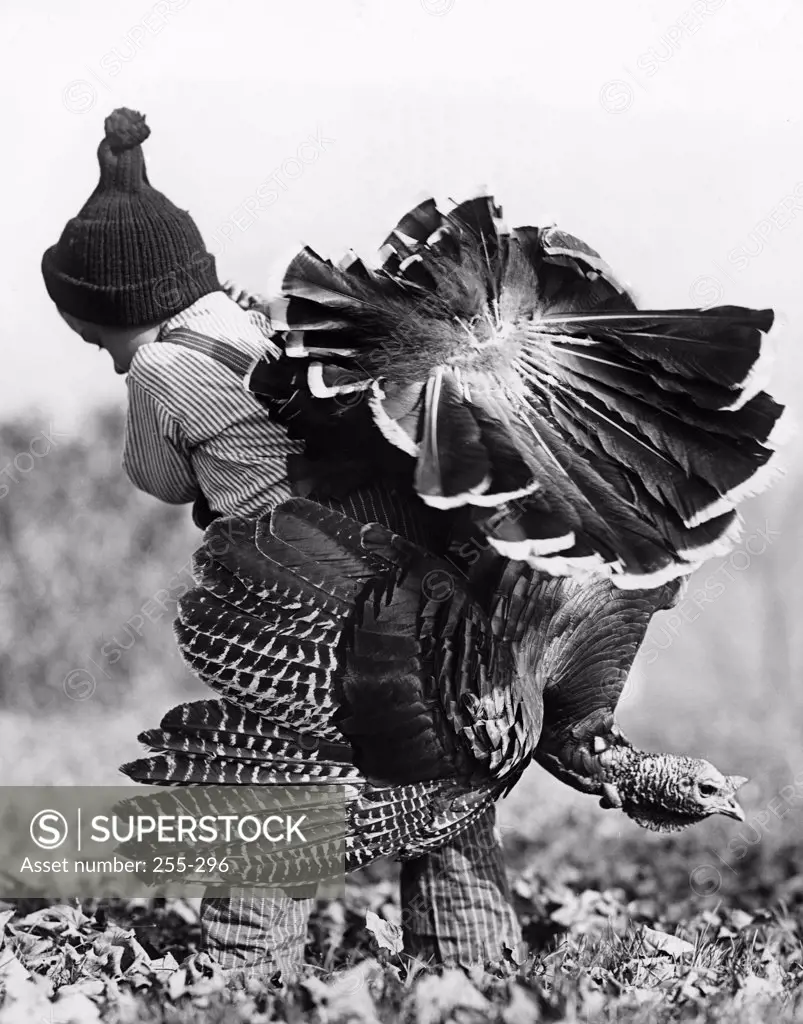 Rear view of a boy carrying a turkey