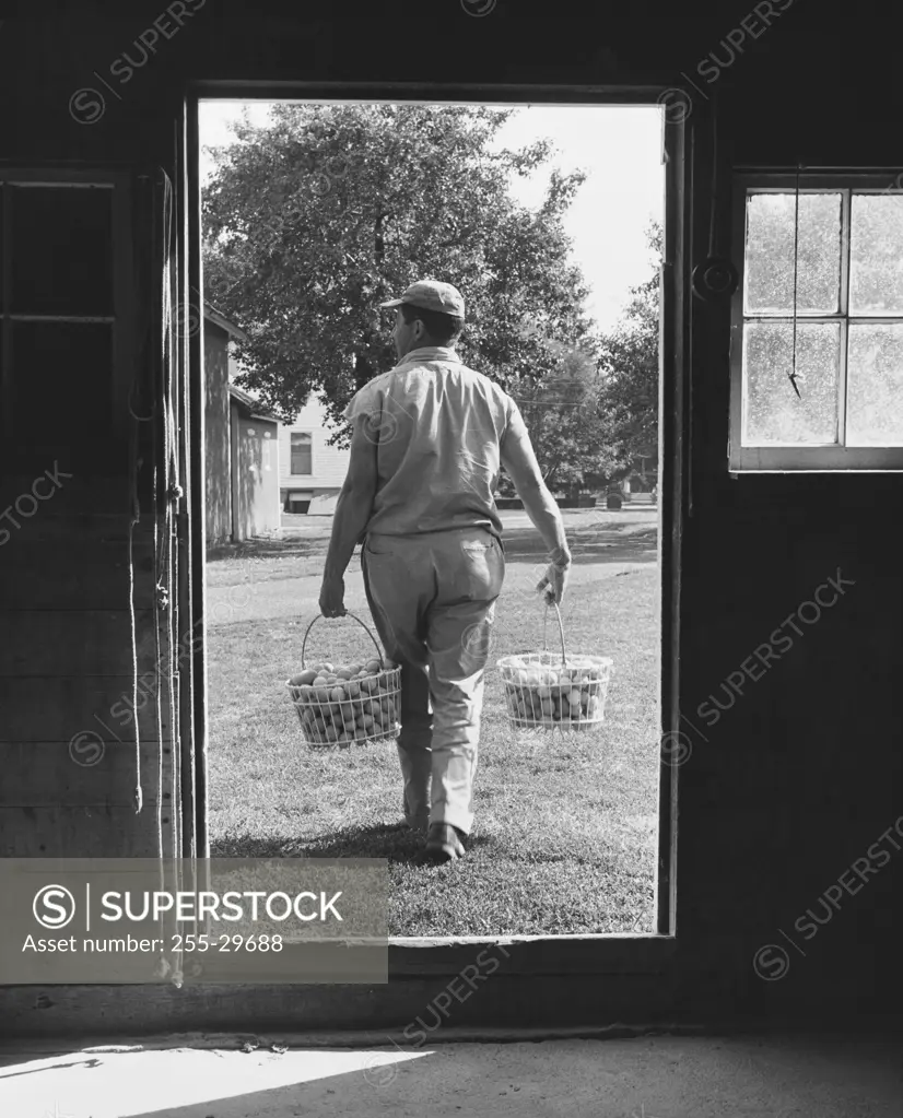 Rear view of a farmer carrying baskets of eggs