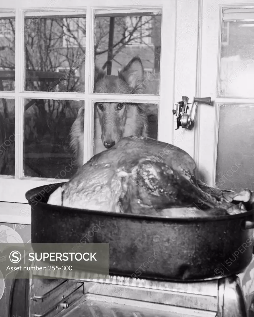 Close-up view of of roasted turkey in saucepan