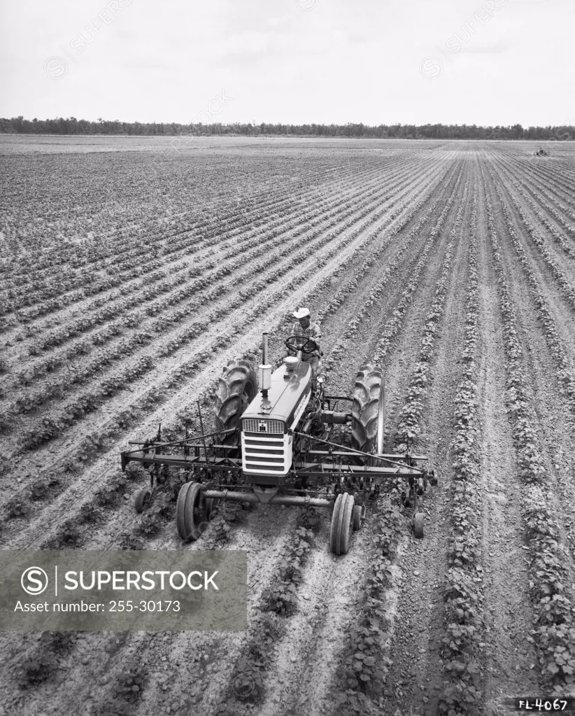 High angle view of a farmer sitting in a tractor on a soybean field