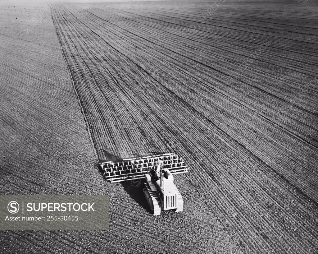 Vintage Photograph. Plow and drag harrow preparing land for bean production.