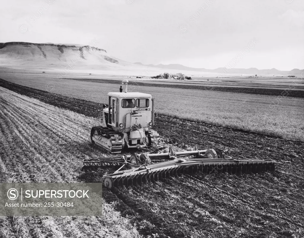 Tractor pulling a harrow in a wheat field