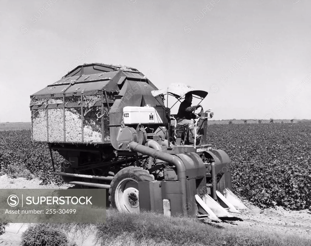 Farmer using a combine in a cotton field, Texas, USA