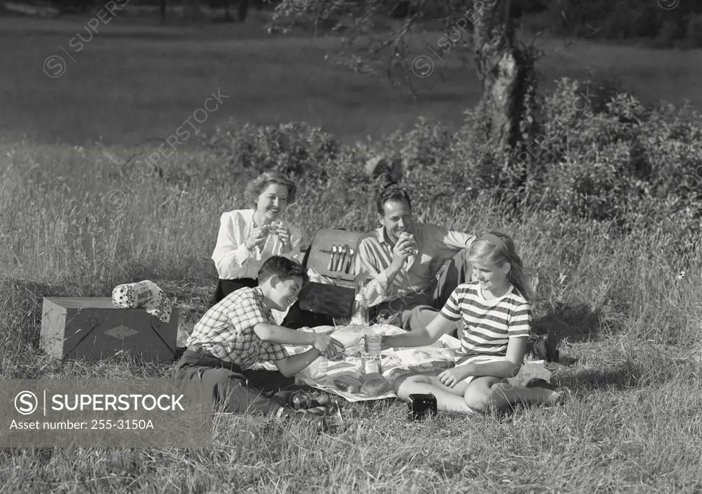 Vintage photograph. Mid adult couple with their two children at a picnic in a park
