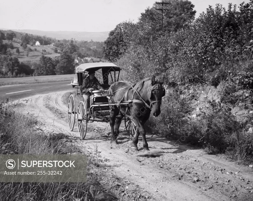 Milkman delivering milk on a horse cart, Ryegate, Vermont, USA