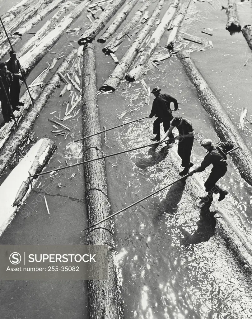 Vintage photograph. High angle view of three lumberjacks pulling logs out from Powell River