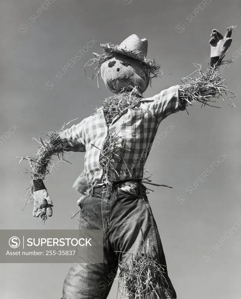 Low angle view of a scarecrow