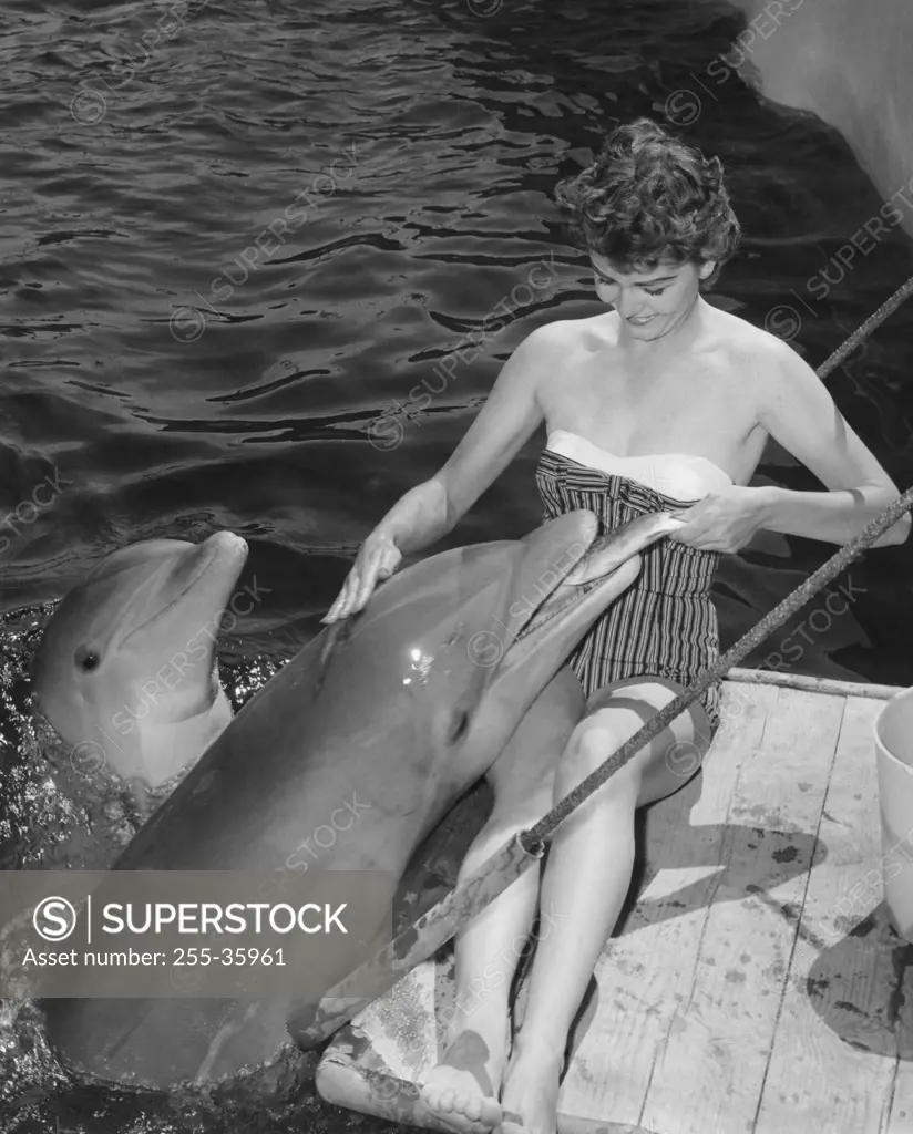 Young woman sitting on a wooden platform and feeding fish to dolphins in a zoo