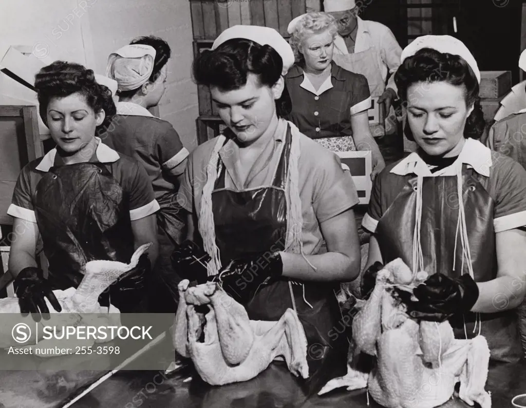 Female workers working in a food processing factory, Hillsboro, Oregon, USA