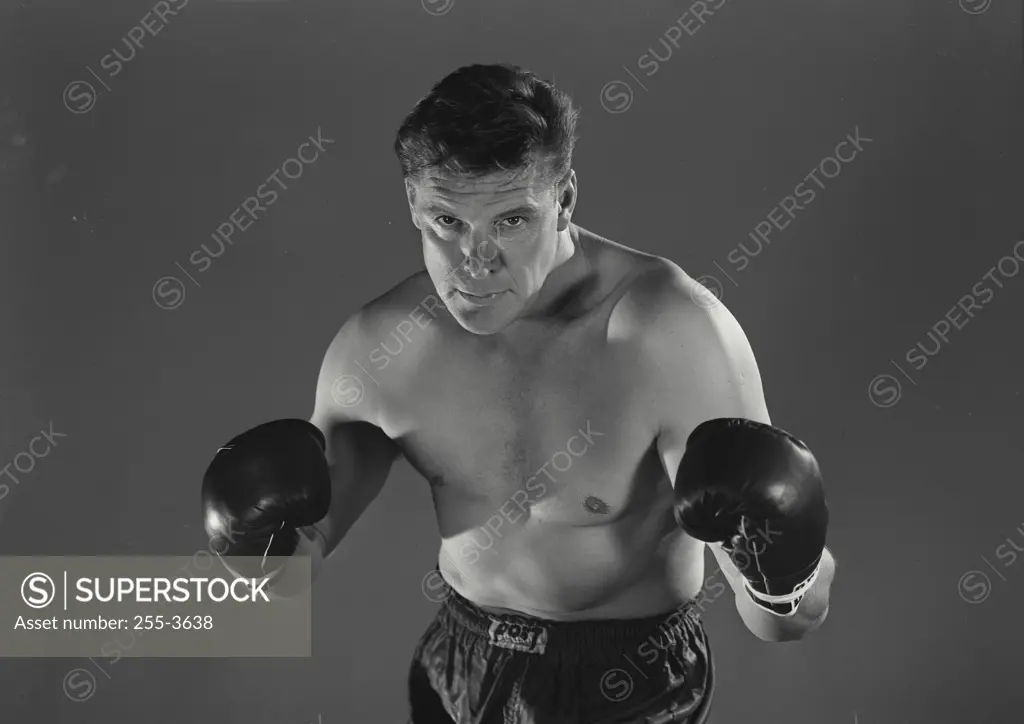 Vintage Photograph. Boxer in fighting stance with gloves up