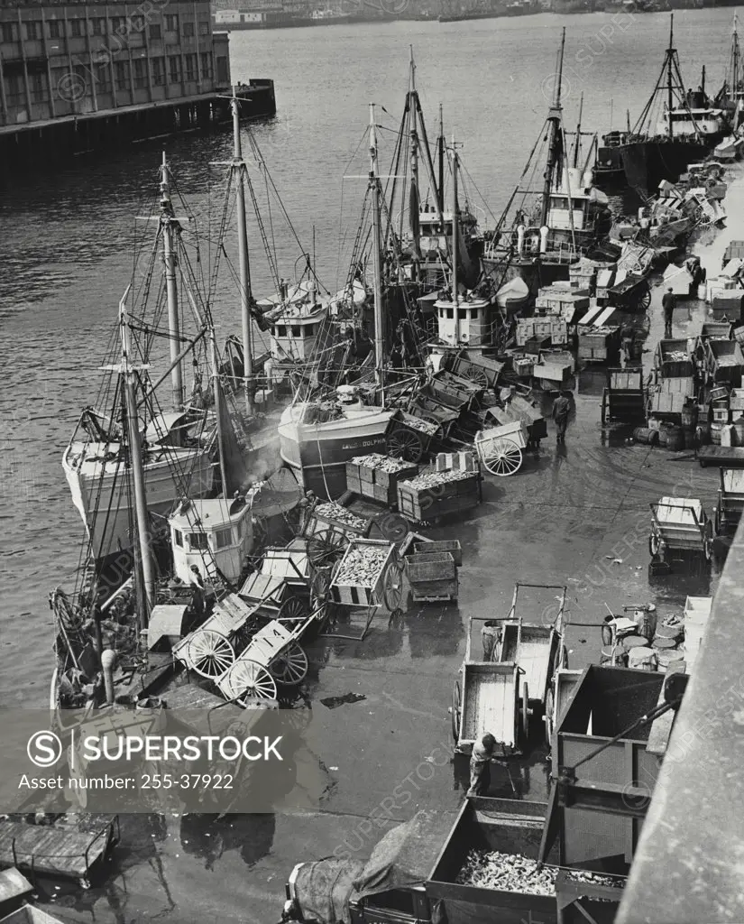 Vintage photograph. Boston fish pier, showing trailers along side and loaded fish carts