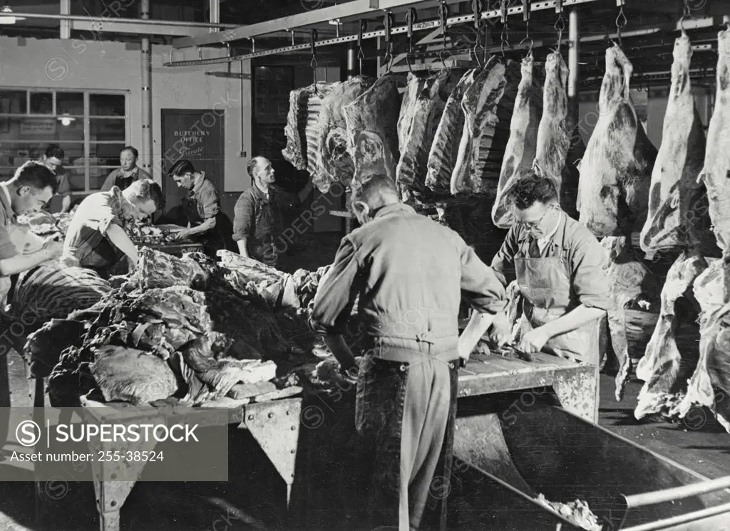 Vintage photograph. Industry in Northern Ireland. Butchers at work in the canning and quick freezing process