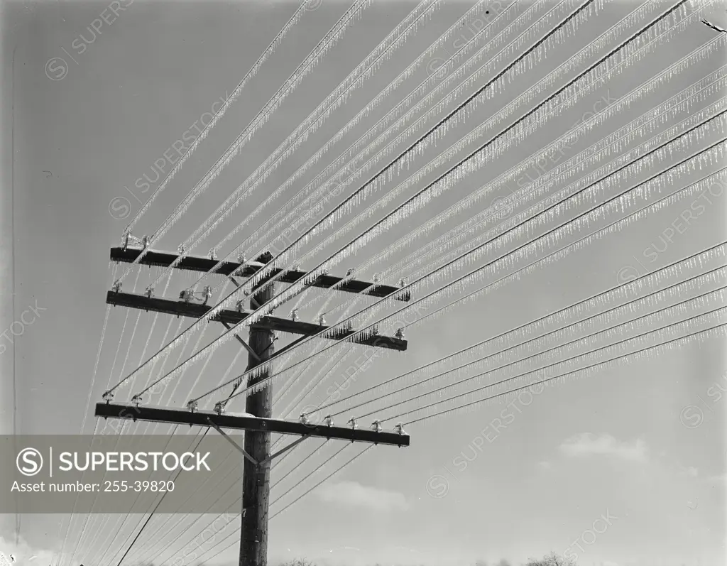 Vintage Photograph. Telephone lines after ice storm, Athens, Ohio