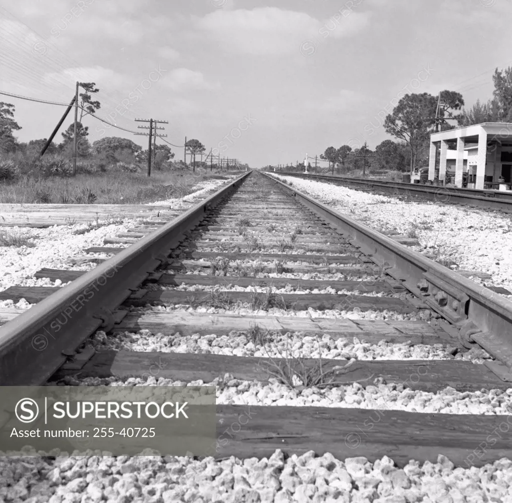Railroad tracks passing through a landscape