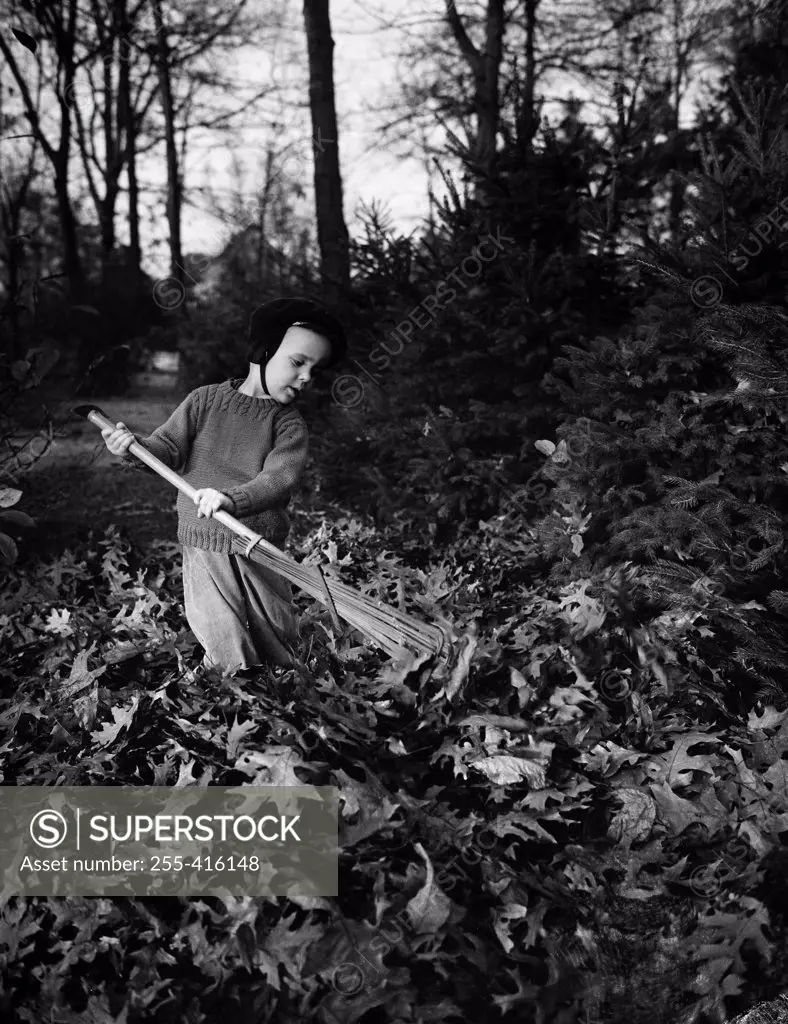 Boy raking leaves