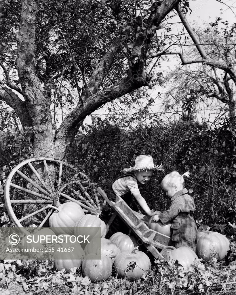 Boy and girl loading pumpkins onto cart