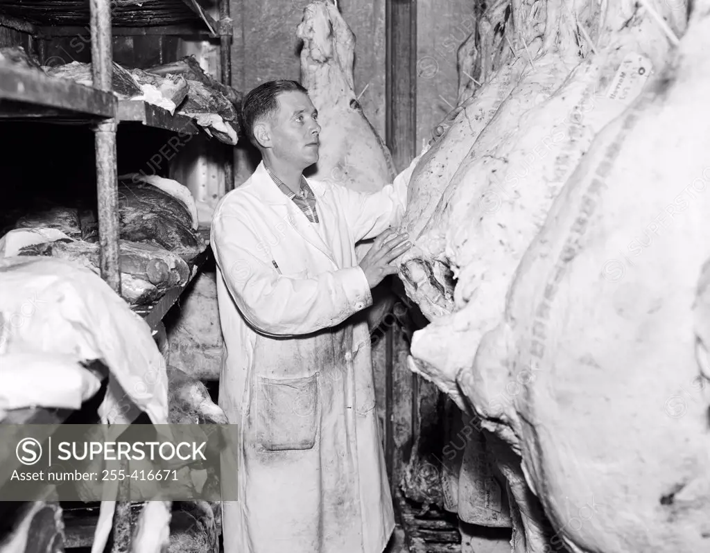 Butcher inspecting beef at butcher's shop