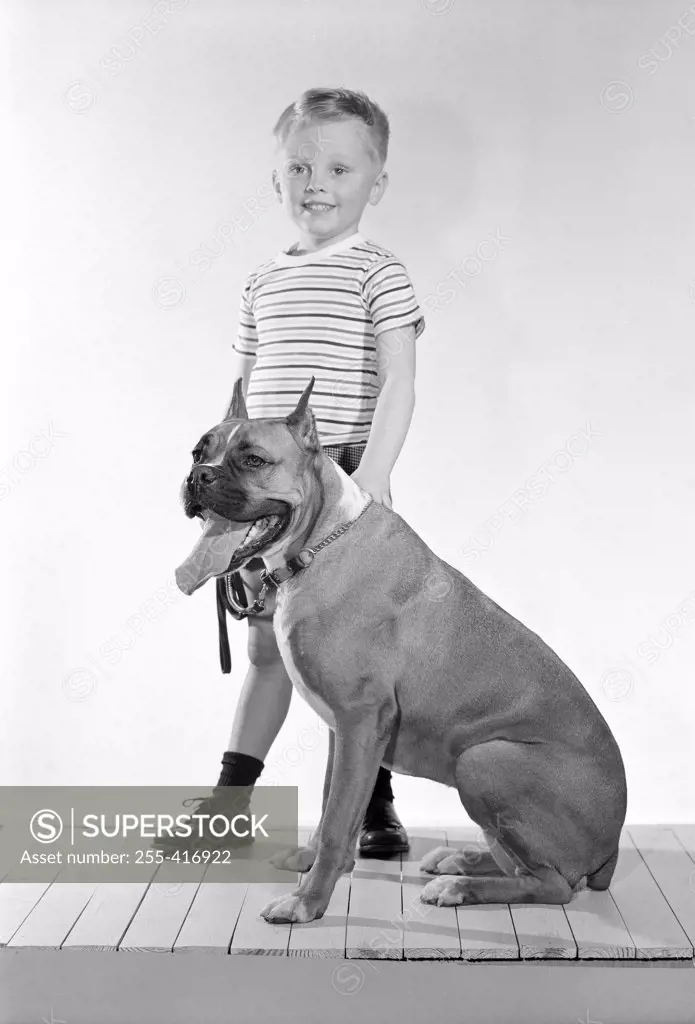 Boy holding boxer dog, studio shot