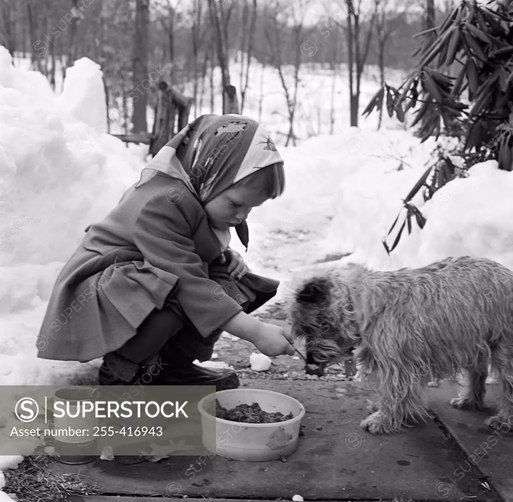 Girl feeding dog