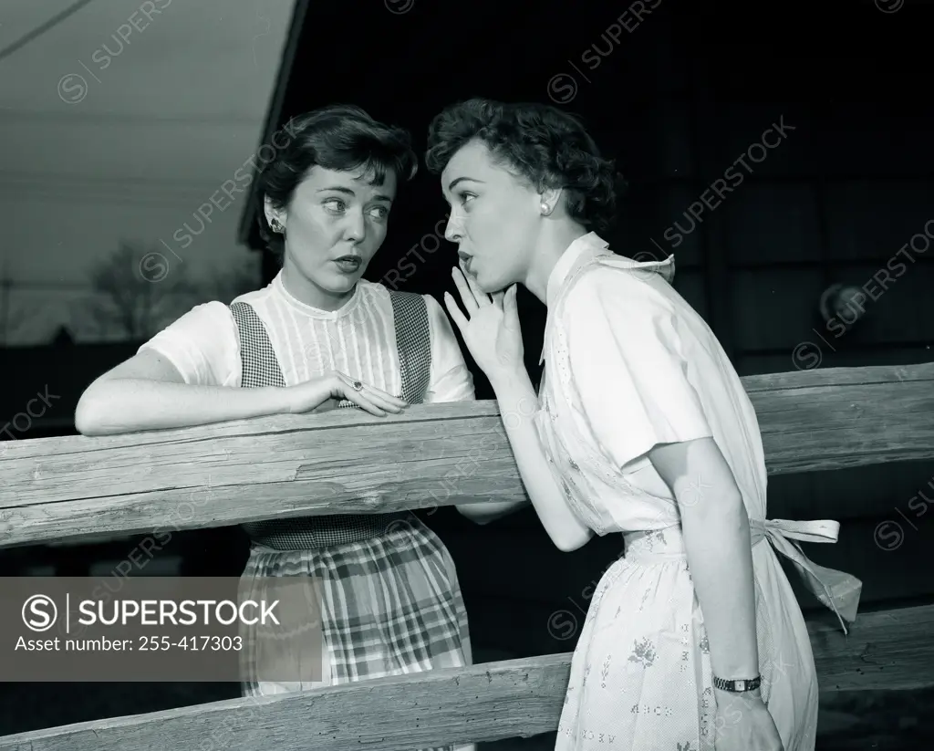 Two young women talking over fence