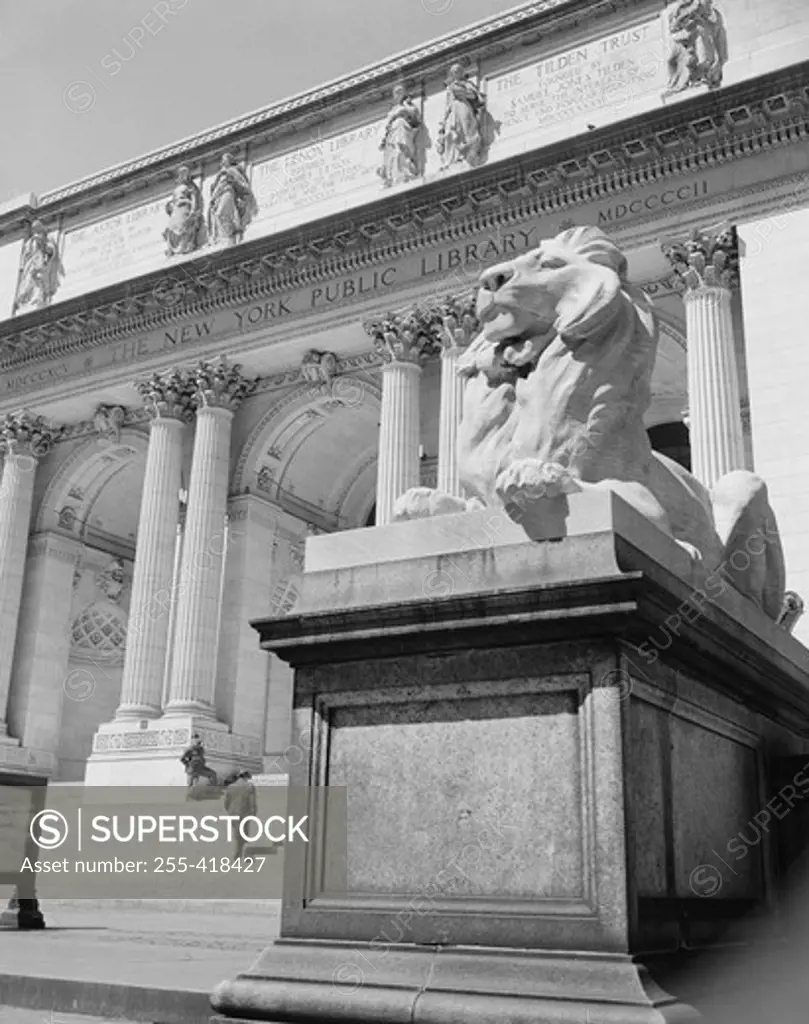 USA, New York State, New York City, Upper Midtown Manhattan, New York Public Library, lion sculpture outside building
