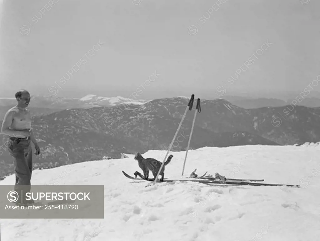 USA, New Hampshire, Mount Washington, Cat on skis