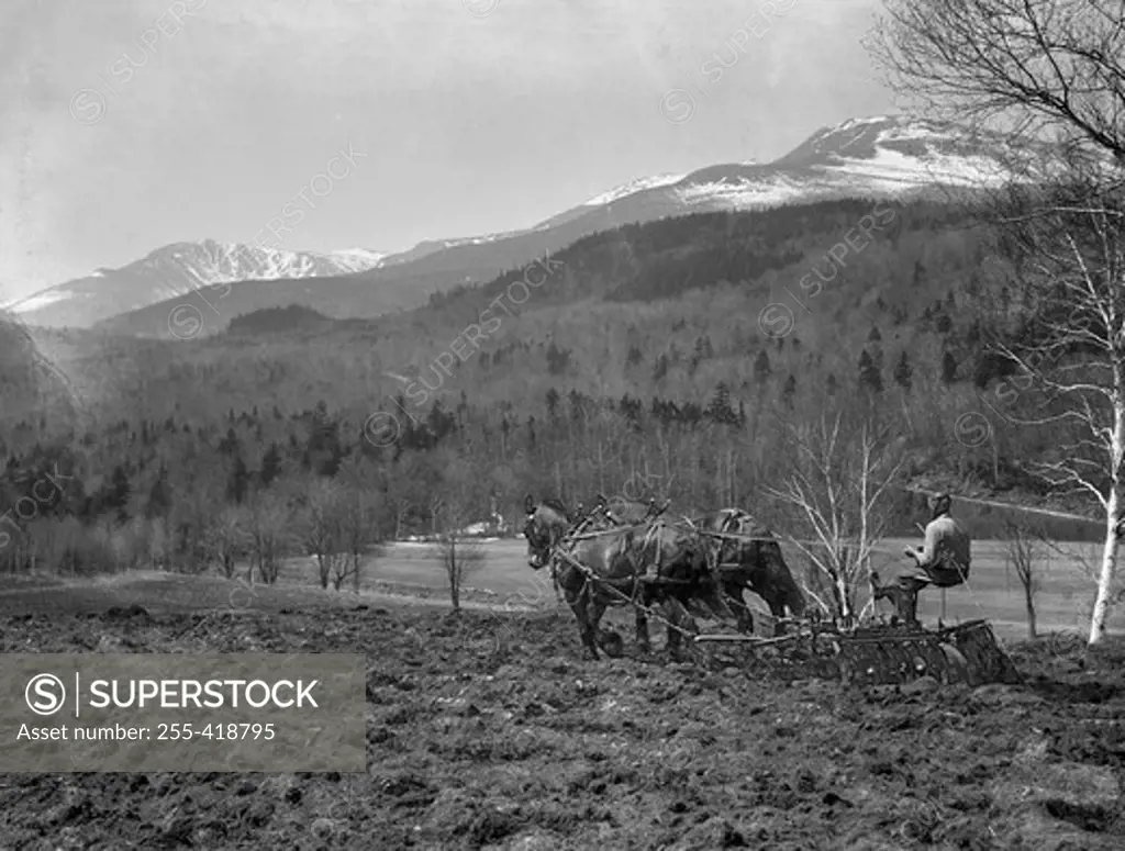 USA, New Hampshire, Pinkham Notch, Spring harrowing on farm in The Glen, Mount Washington in background