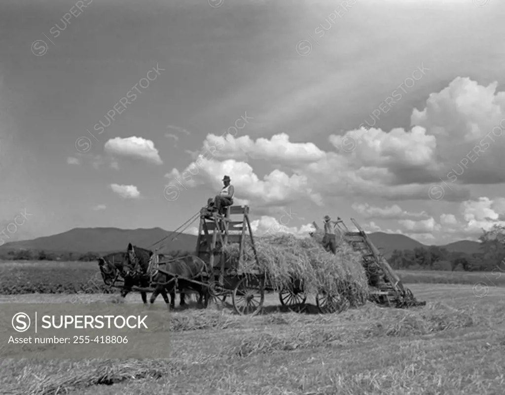USA, New England, Vermont, Hay loader working on farm