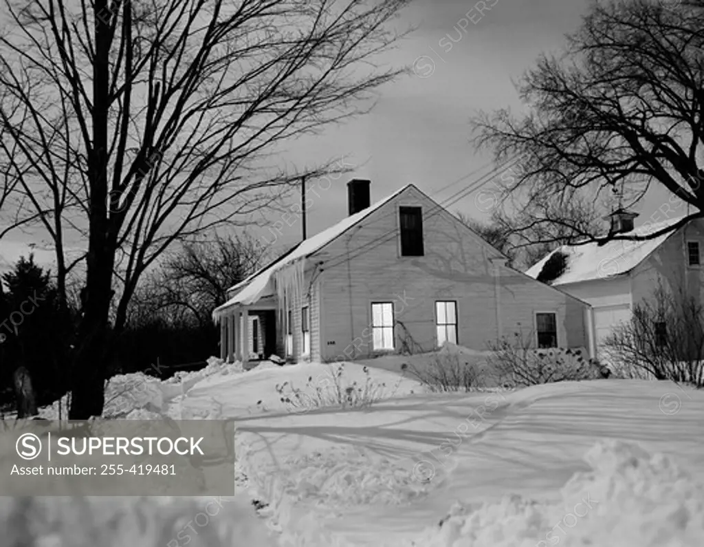 Winter rural scene, house and barn