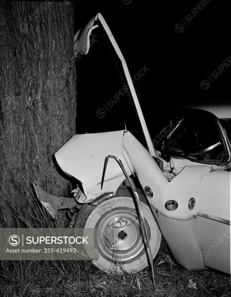Car crashed into tree