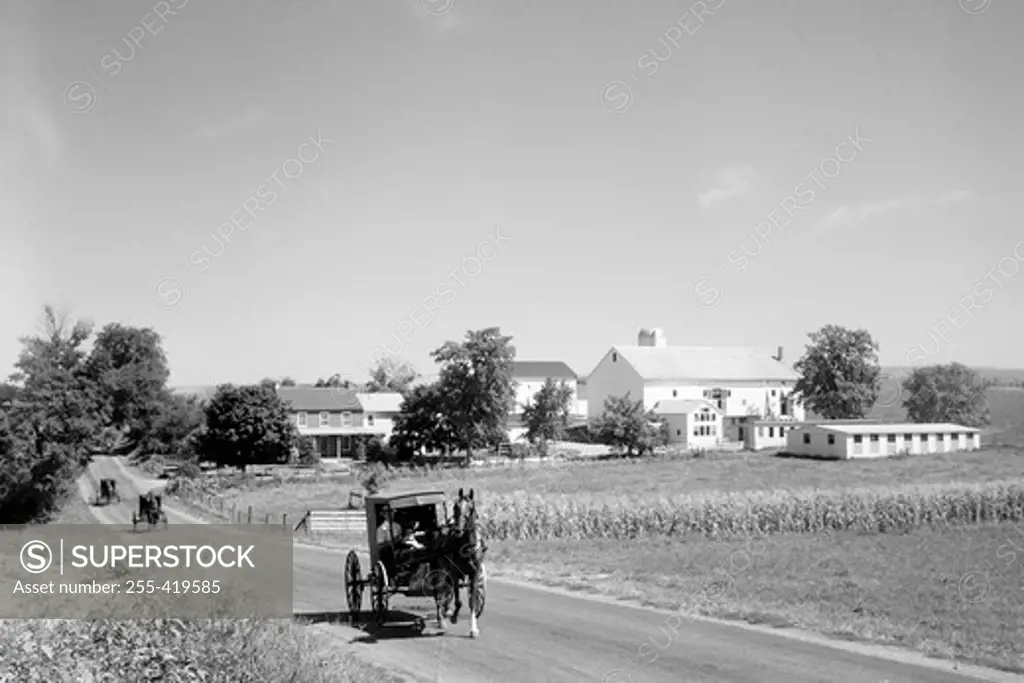 Pennsylvania, Amish carriages