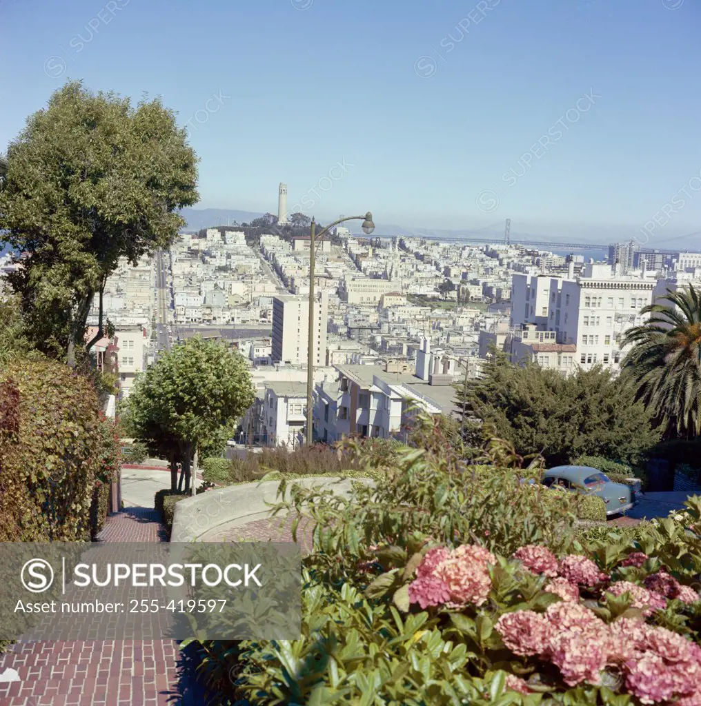 USA, California, San Francisco, View of Coit Tower from top of Lumbar Street