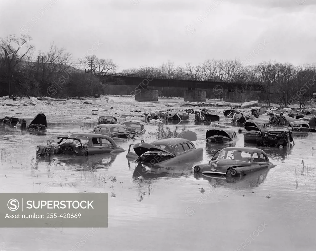 USA, New York, Binghamton, Old cars in the river