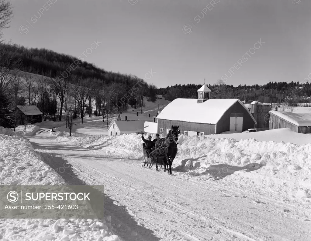USA, Vermont, near Peacham, sleigh scene