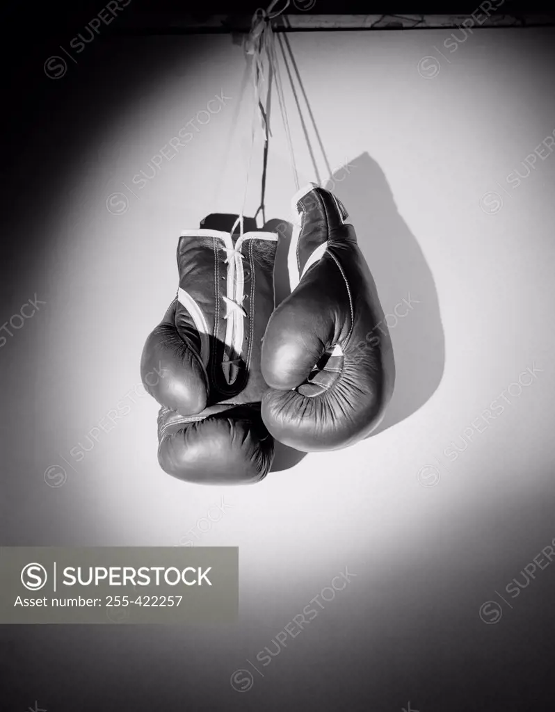 Pair of boxing gloves