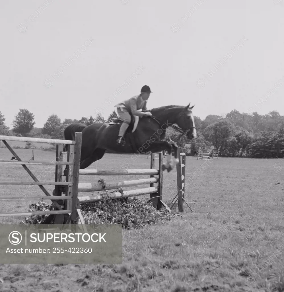 Jockey riding horse through obstacle course
