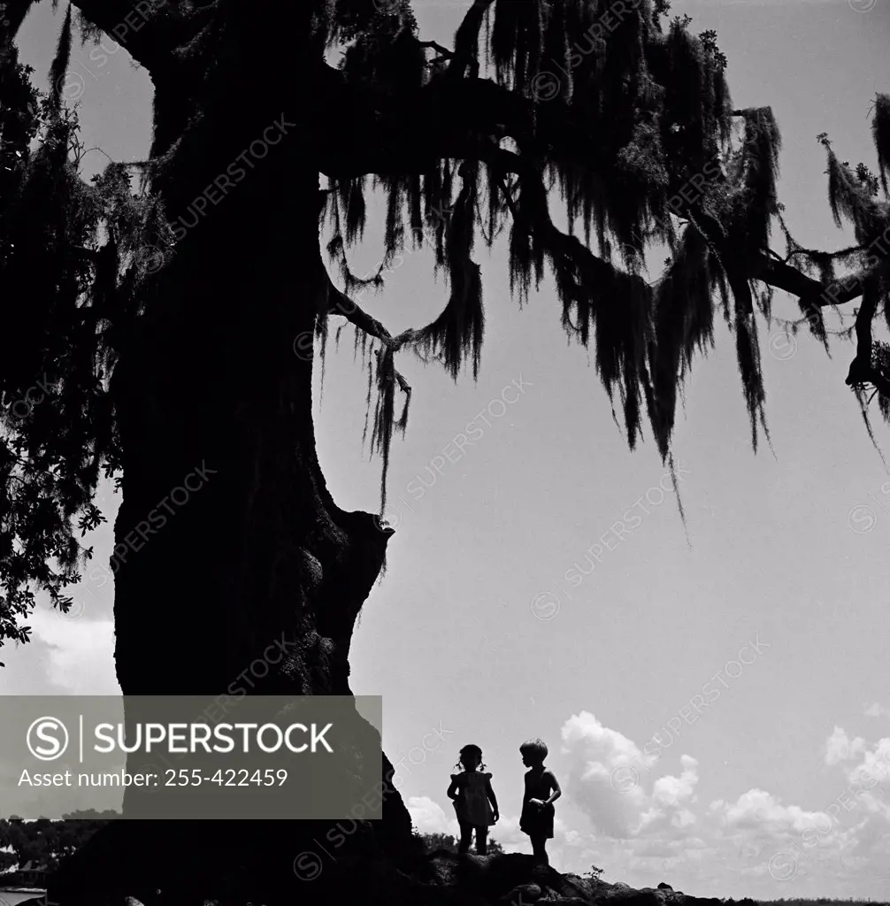 USA, Louisiana, Bayou, Kids standing under large tree